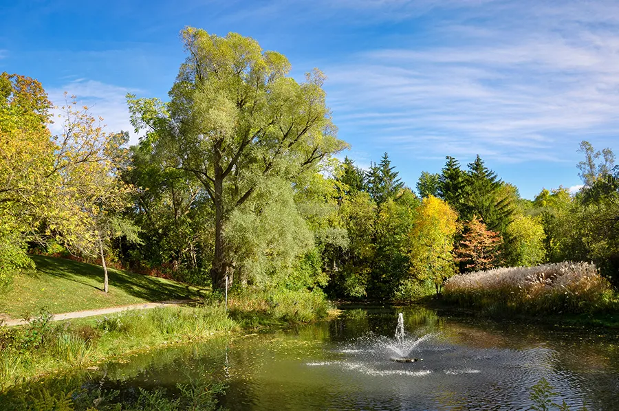 toronto bioidentical hormone doctors